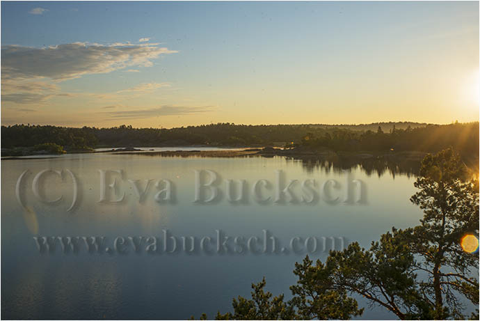 Sk&auml;rg&aring;rdsgryning - foto av Eva Bucksch